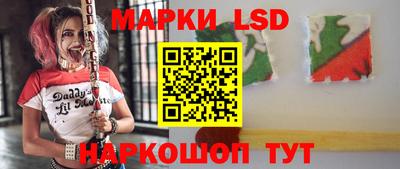 spice Моздок