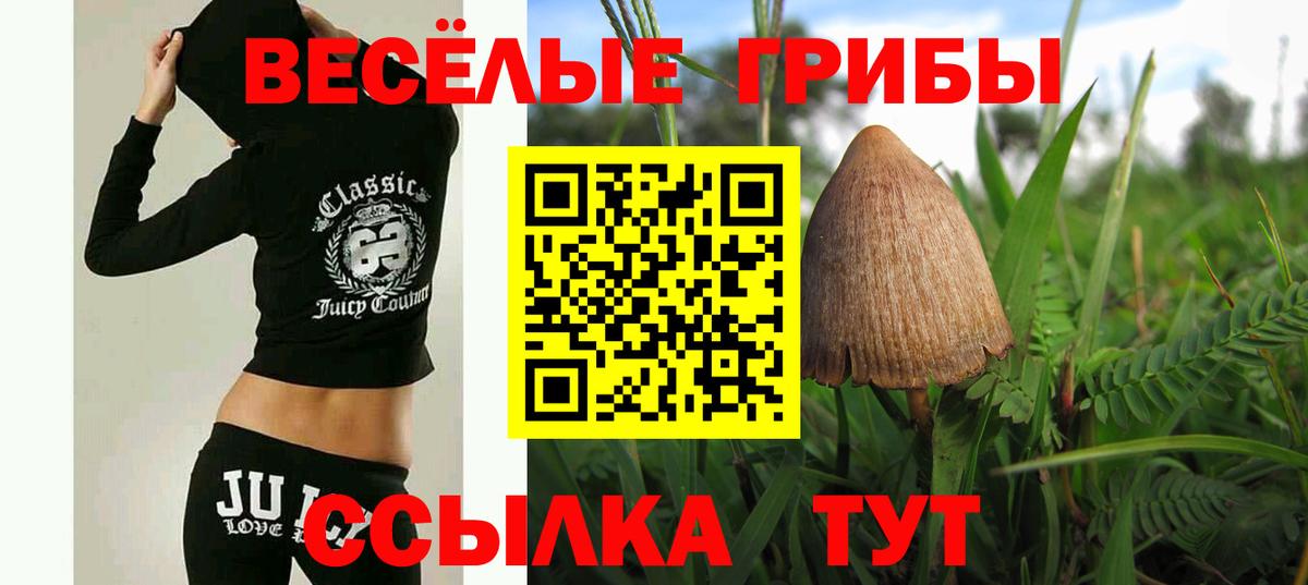 Сафоново  Галлюциногенные грибы мицелий  Псилоцибиновые грибы Psilocybine cubensis  Вход с VPN 